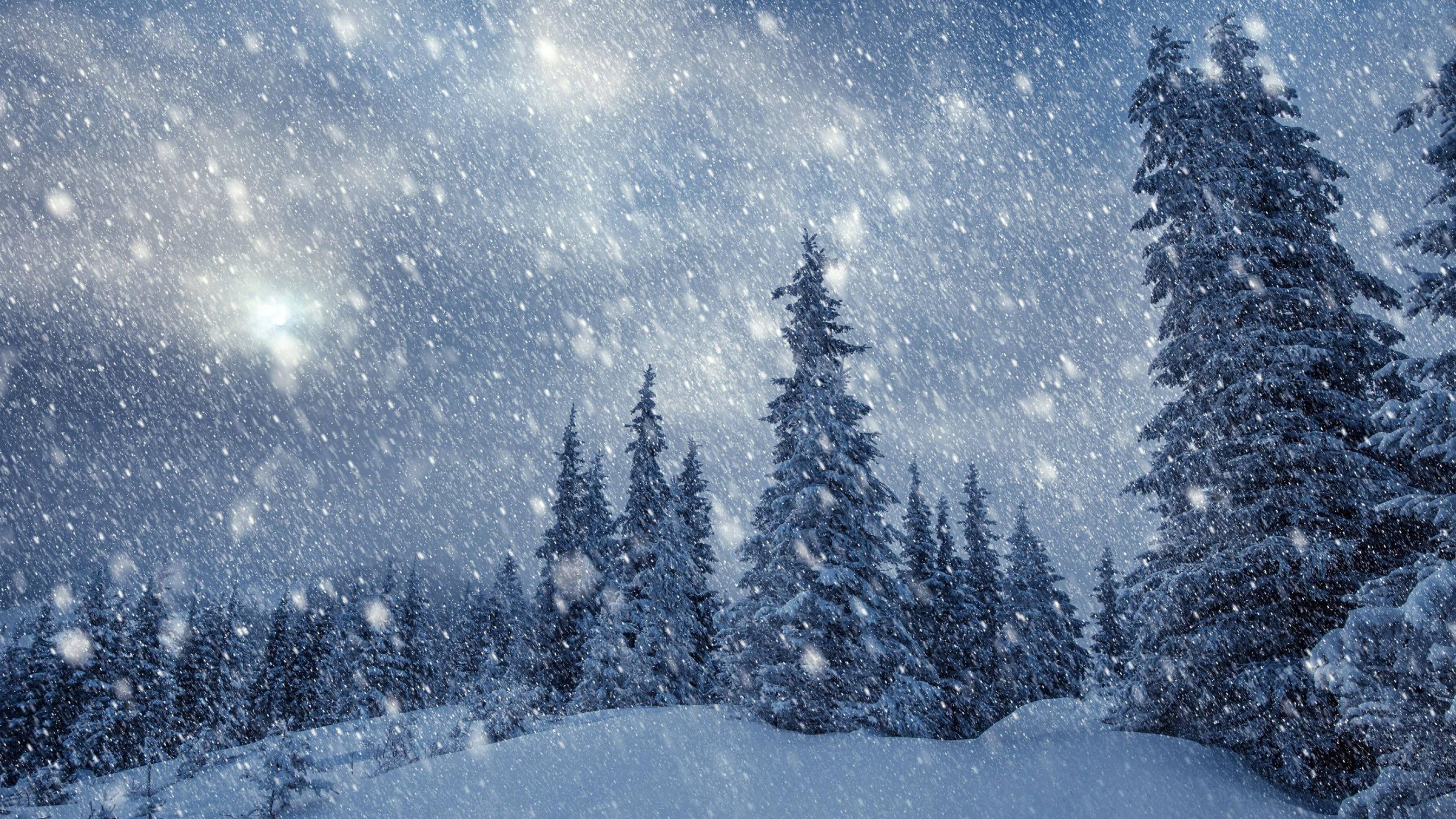 Snow Falling Wallpapers