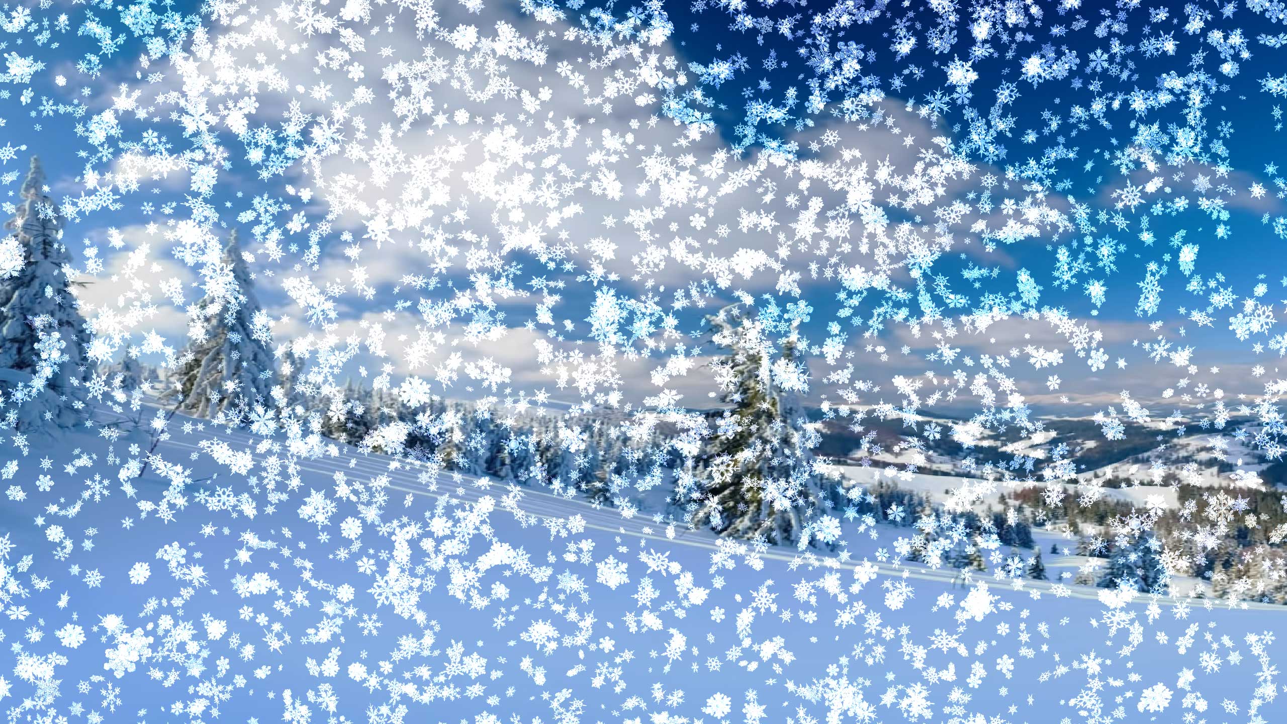 Snow Falling Wallpapers