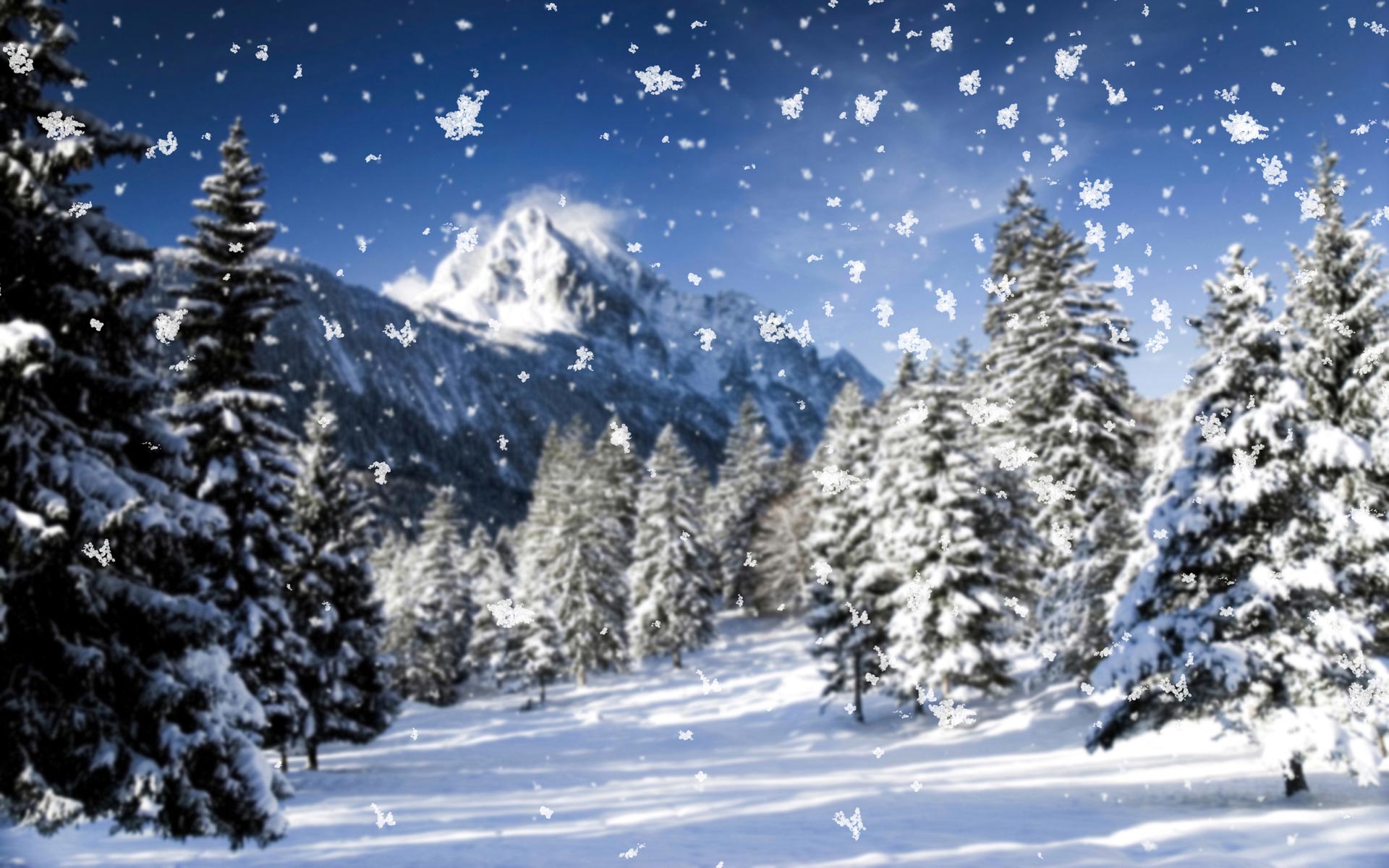 Snow Falling Wallpapers