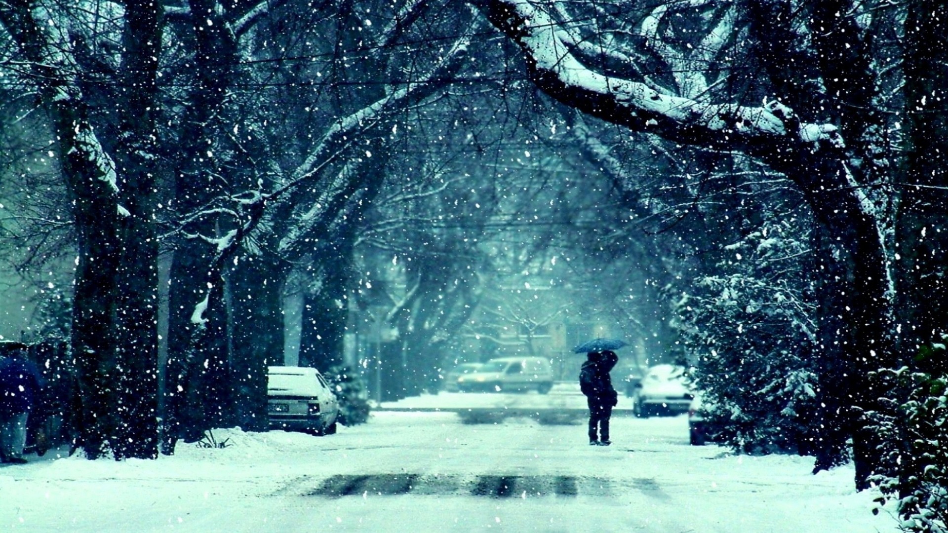 Snow Falling Wallpapers