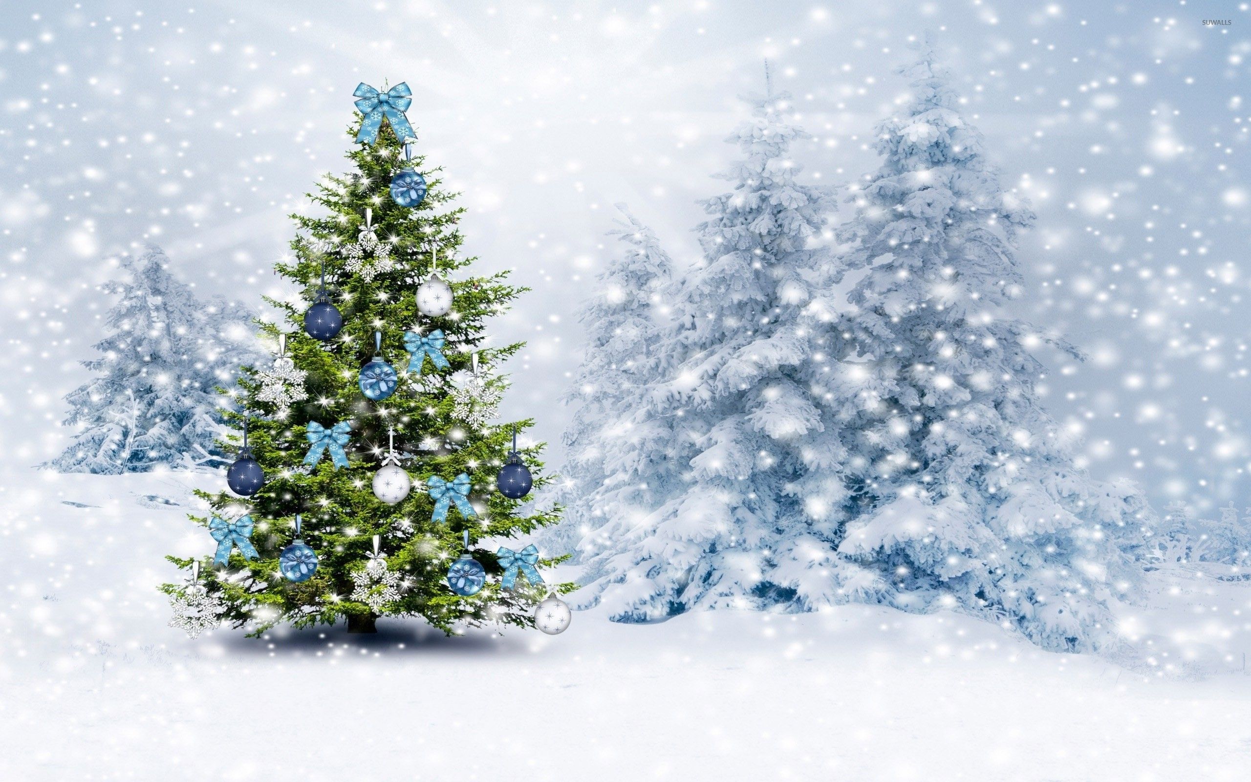 Snowey Christmas Trees Wallpapers