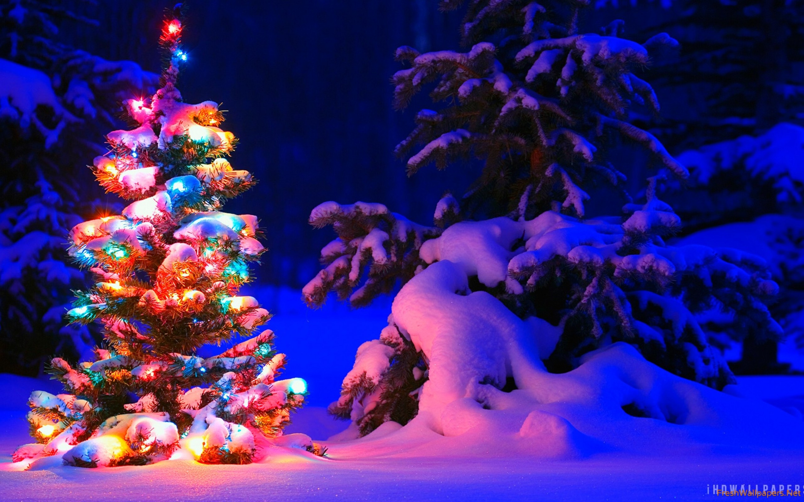 Snowey Christmas Trees Wallpapers