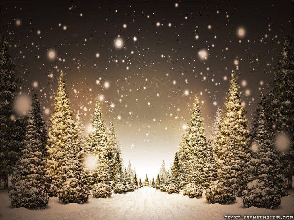 Snowey Christmas Trees Wallpapers