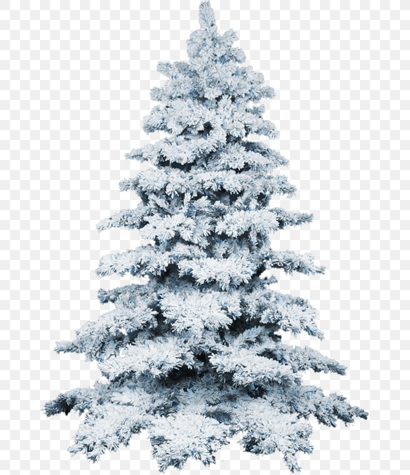 Snowey Christmas Trees Wallpapers