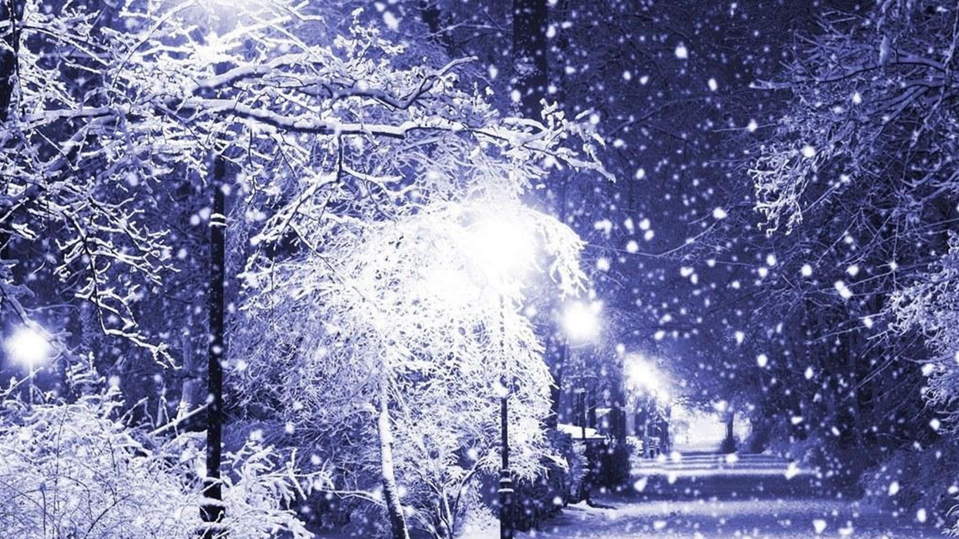 Snowy Night Wallpapers