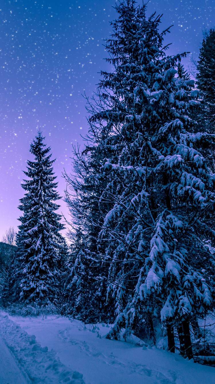 Snowy Night Wallpapers