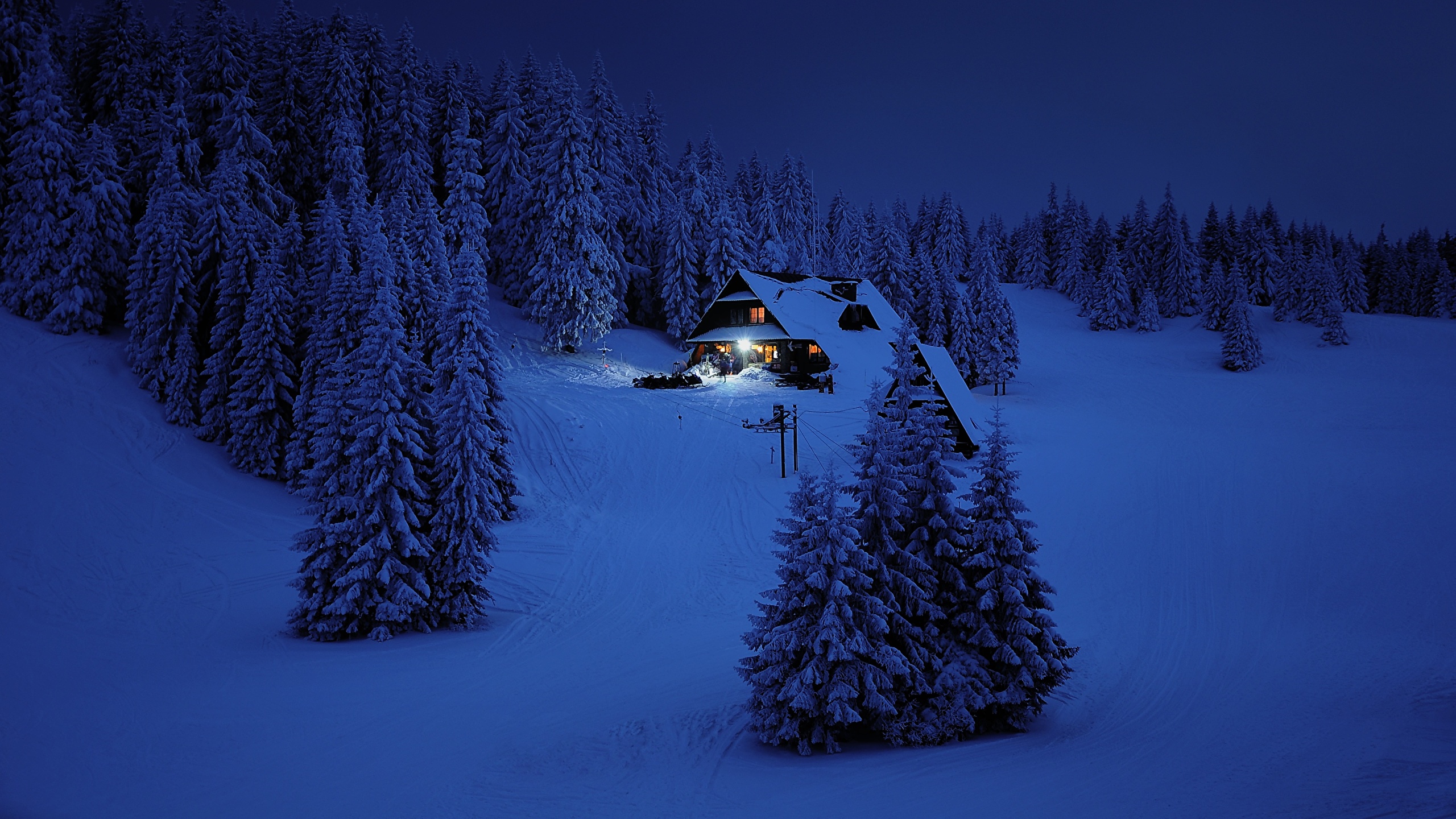 Snowy Night Wallpapers