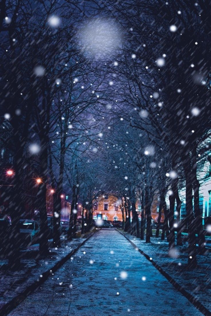 Snowy Night Wallpapers