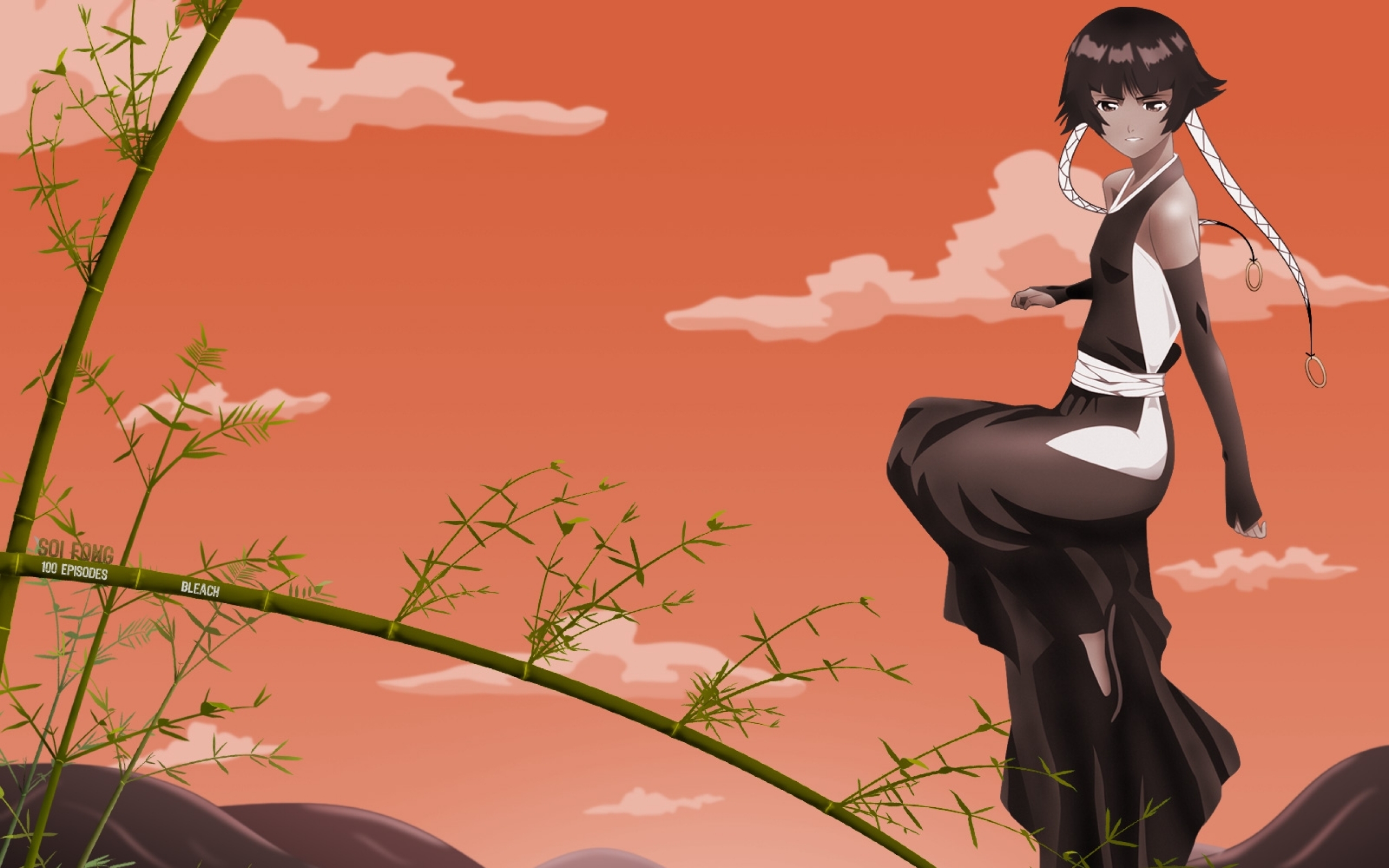 Soi Fon Wallpapers