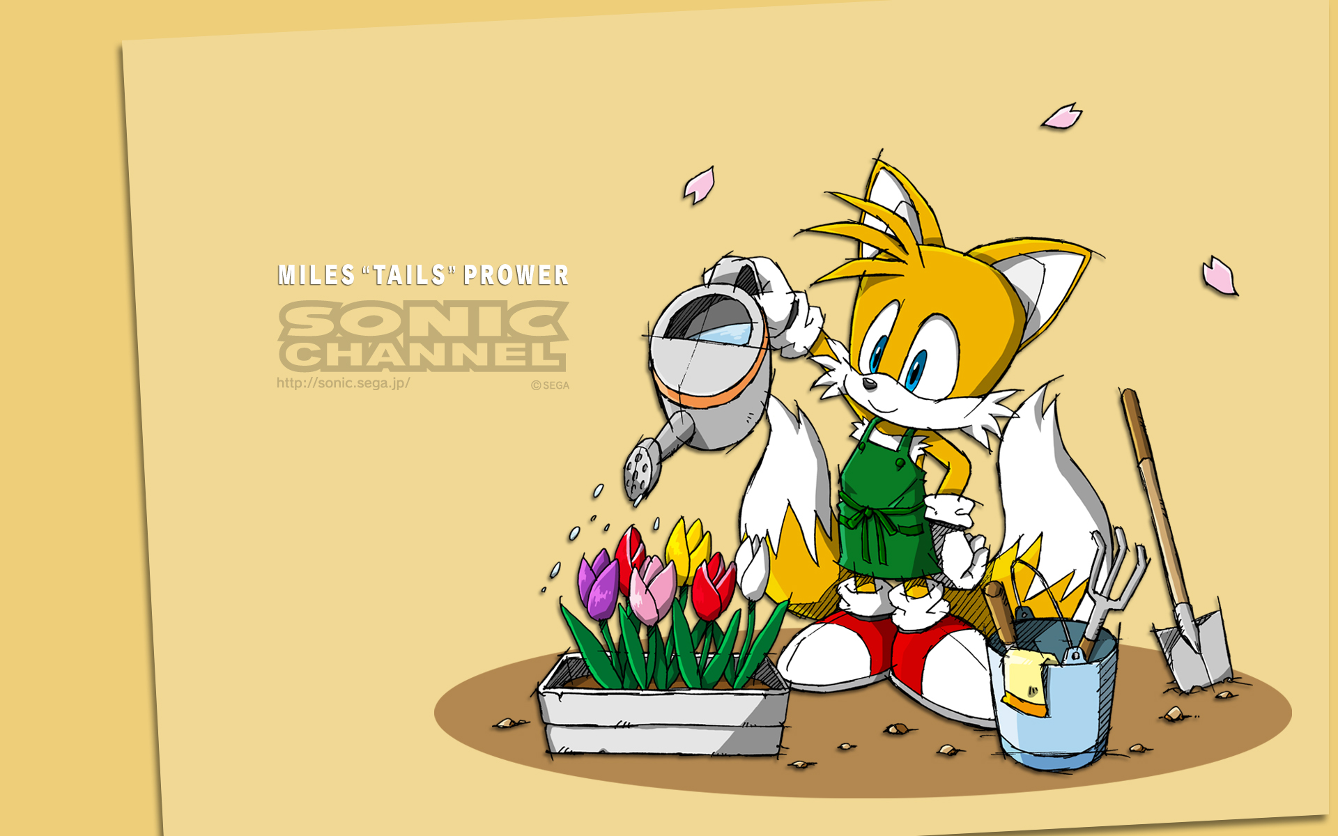 Sonic And Tails Wallpapers