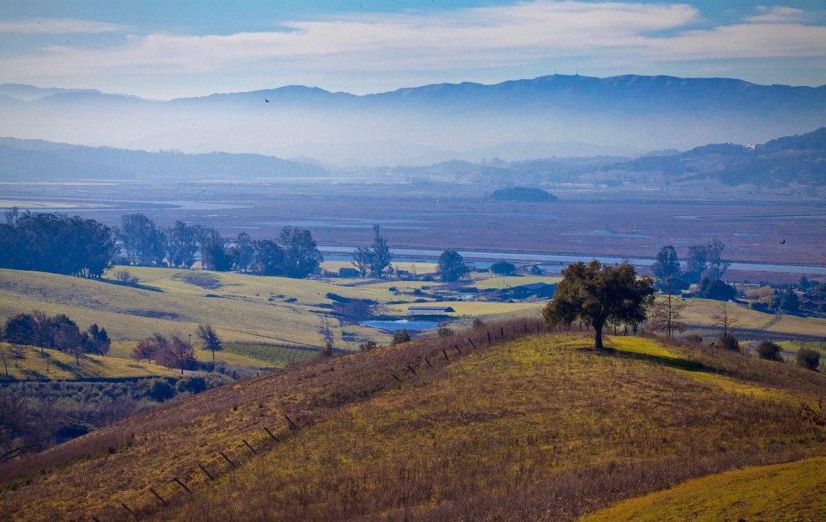 Sonoma Wallpapers