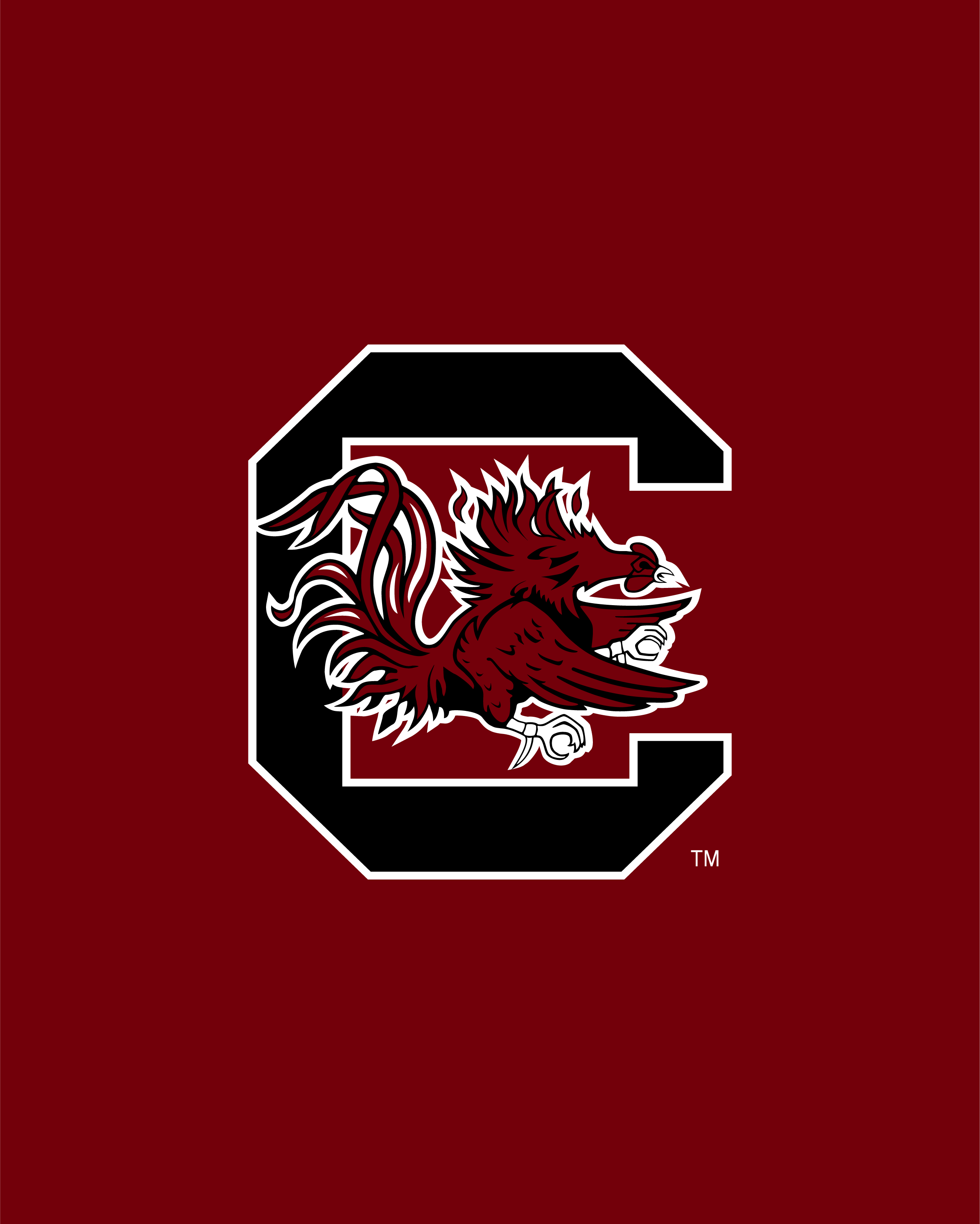 South Carolina Wallpapers