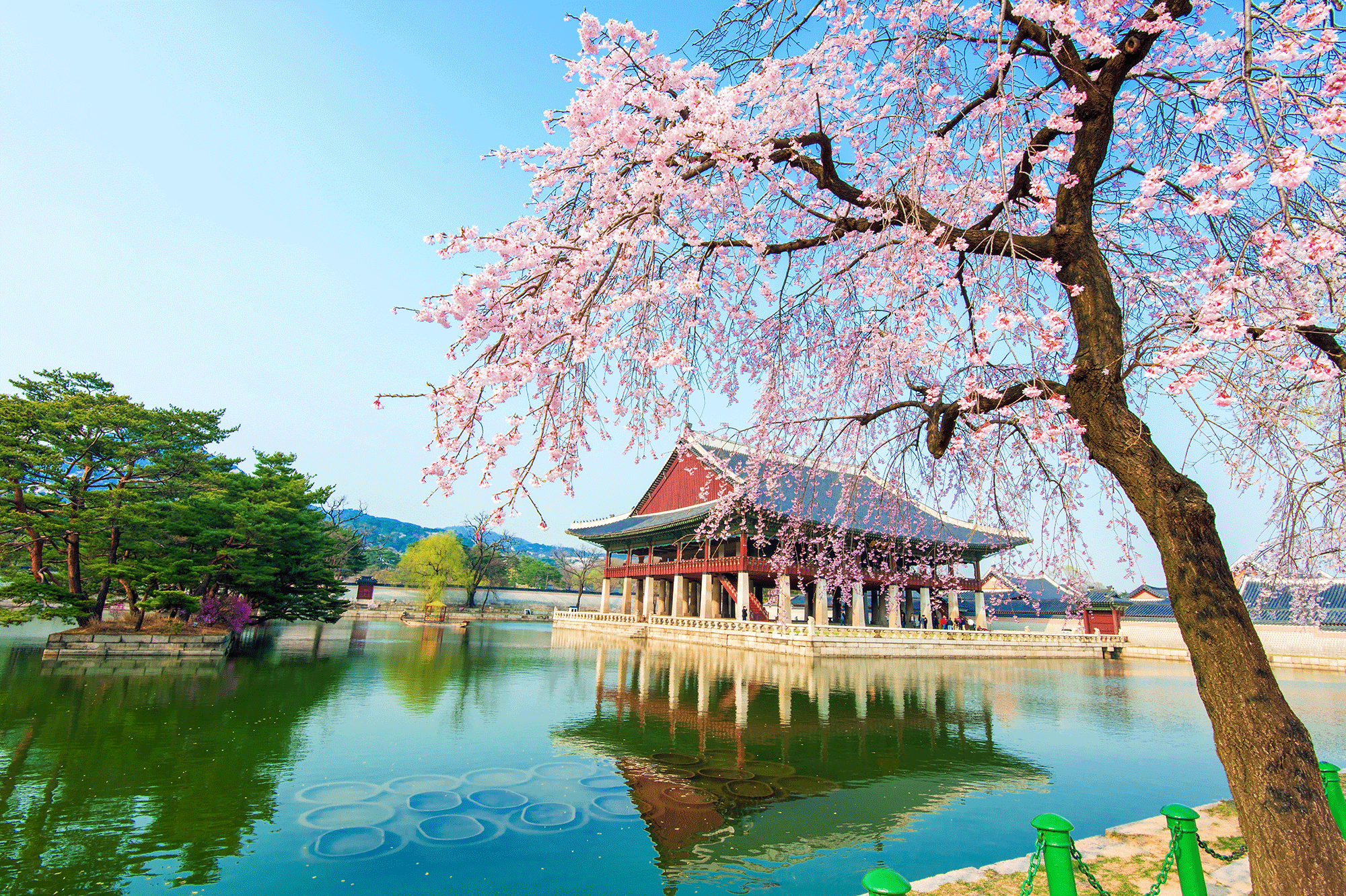 South Korea Countryside Wallpapers