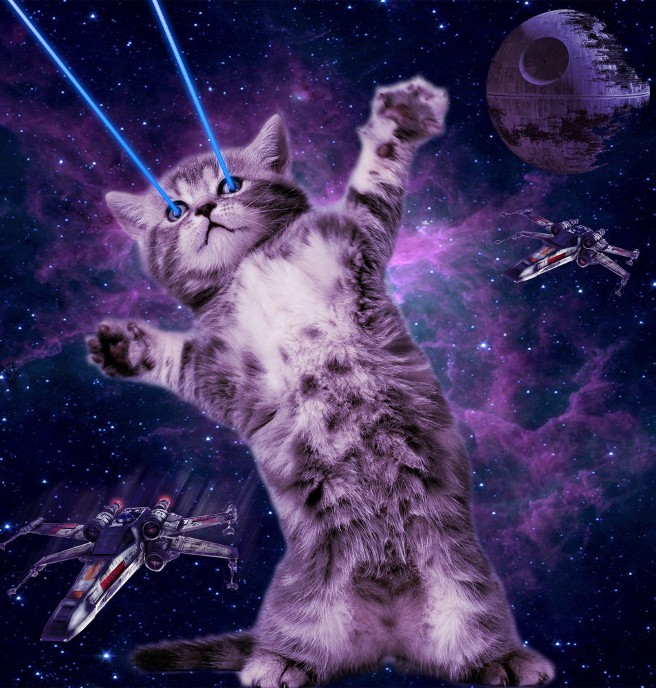 Space Laser Cat Wallpapers