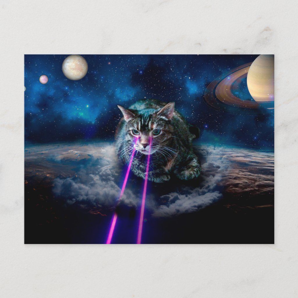 Space Laser Cat Wallpapers