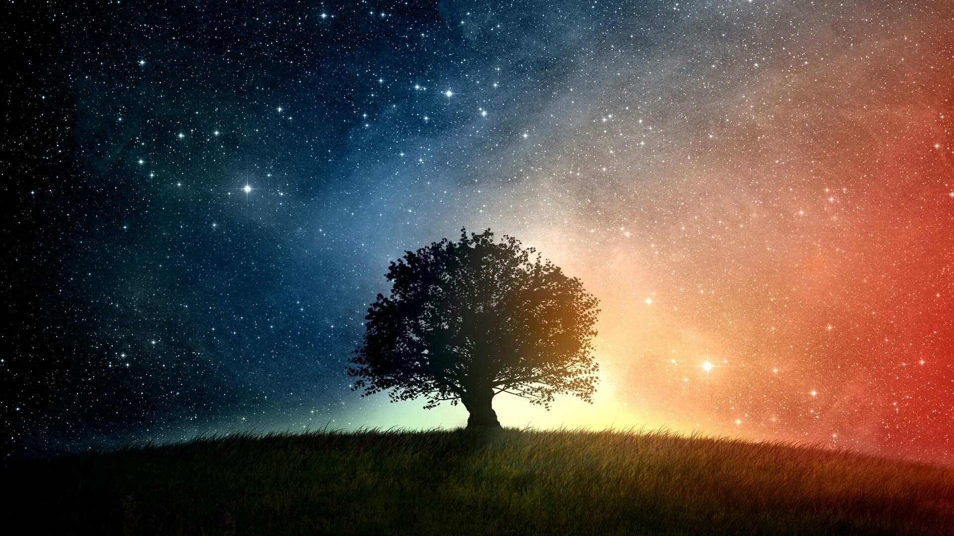 Space Tree Wallpapers