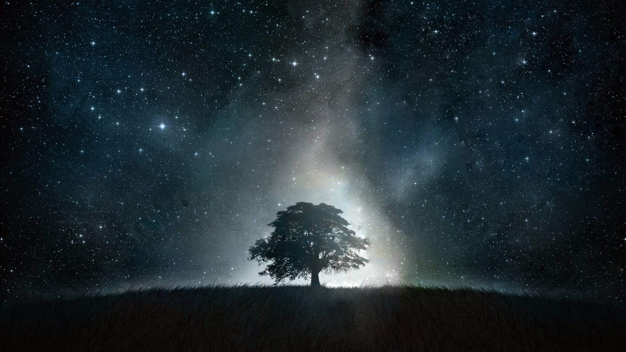 Space Tree Wallpapers