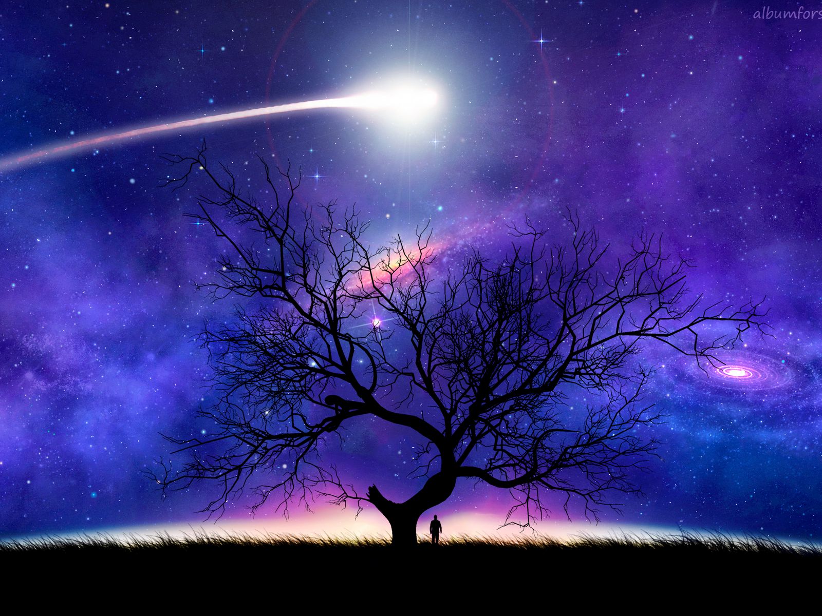 Space Tree Wallpapers