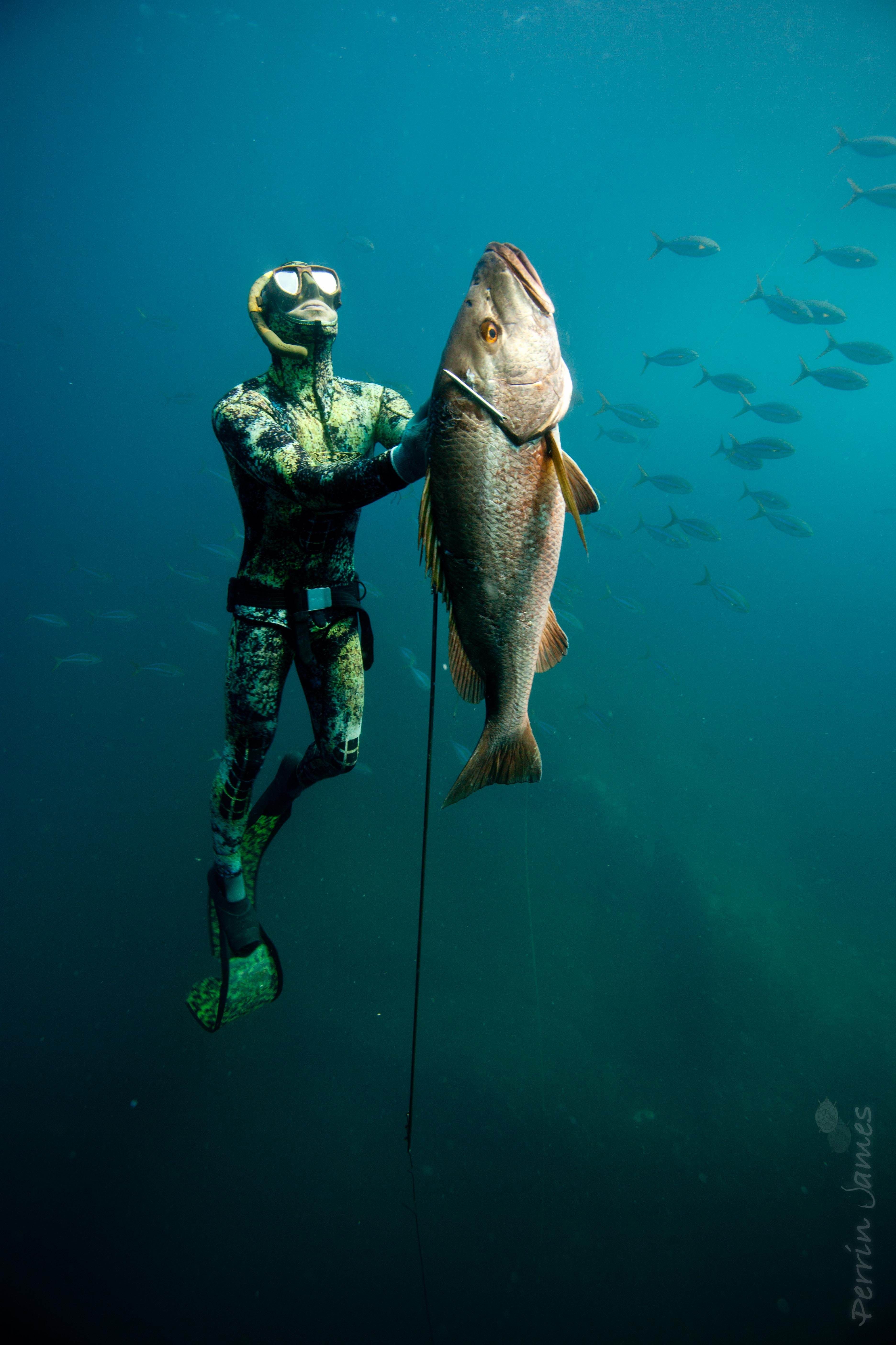 Spearfishing Wallpapers