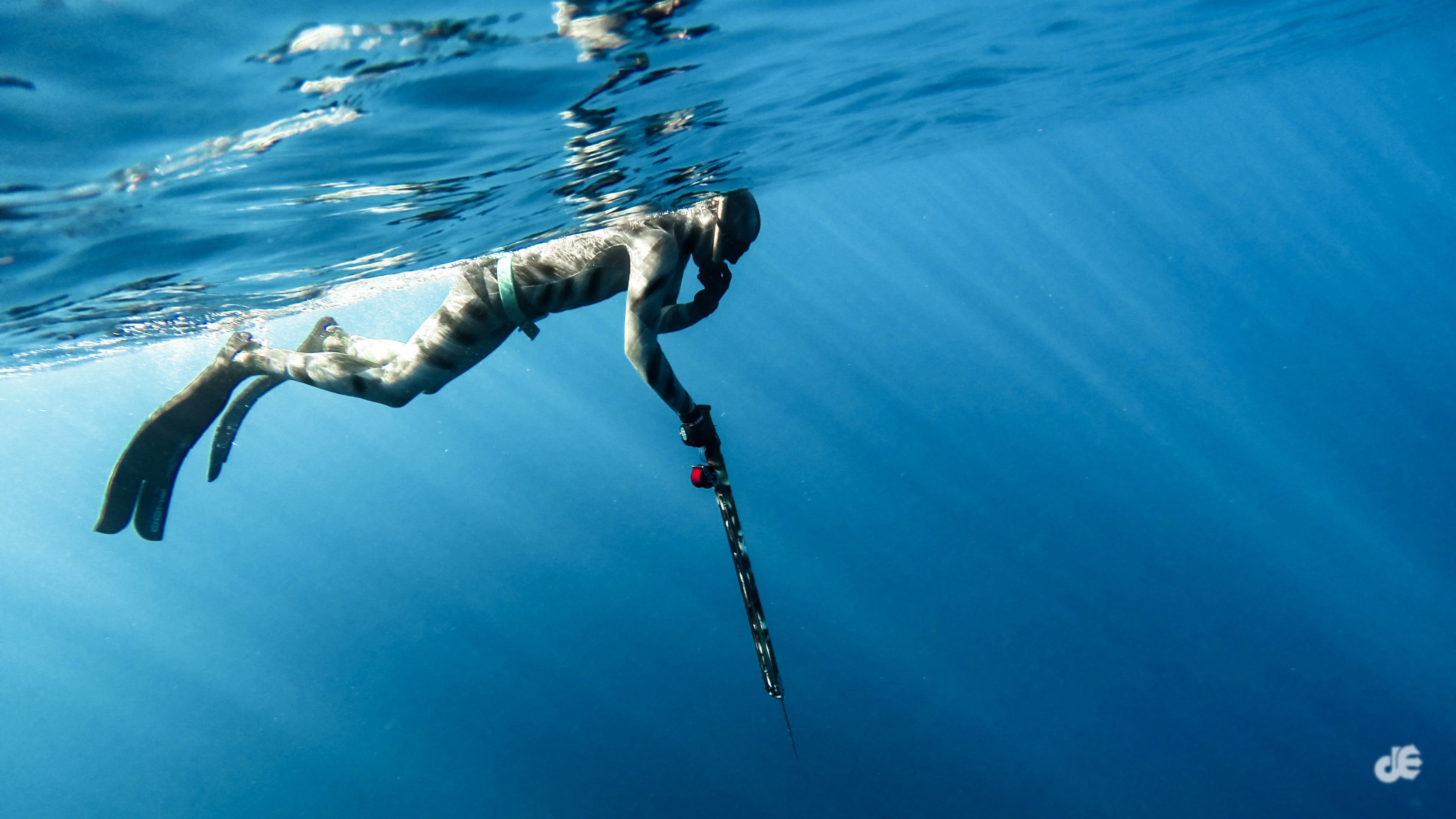 Spearfishing Wallpapers