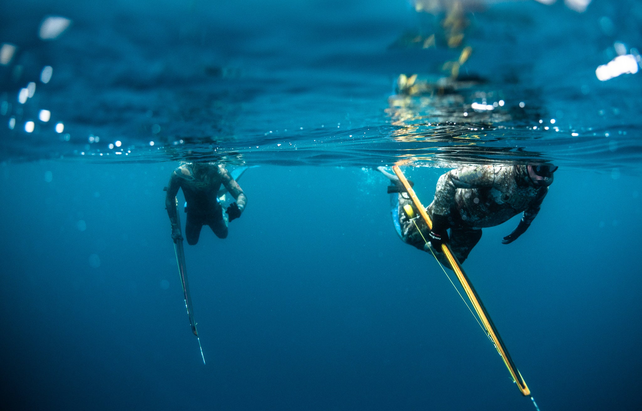 Spearfishing Wallpapers