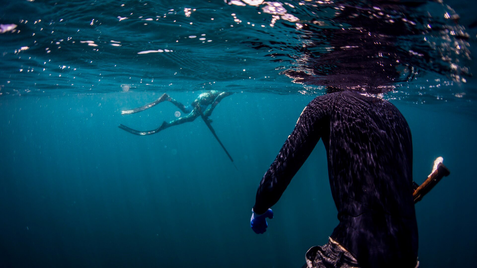 Spearfishing Wallpapers