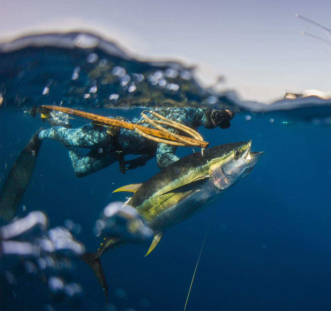 Spearfishing Wallpapers