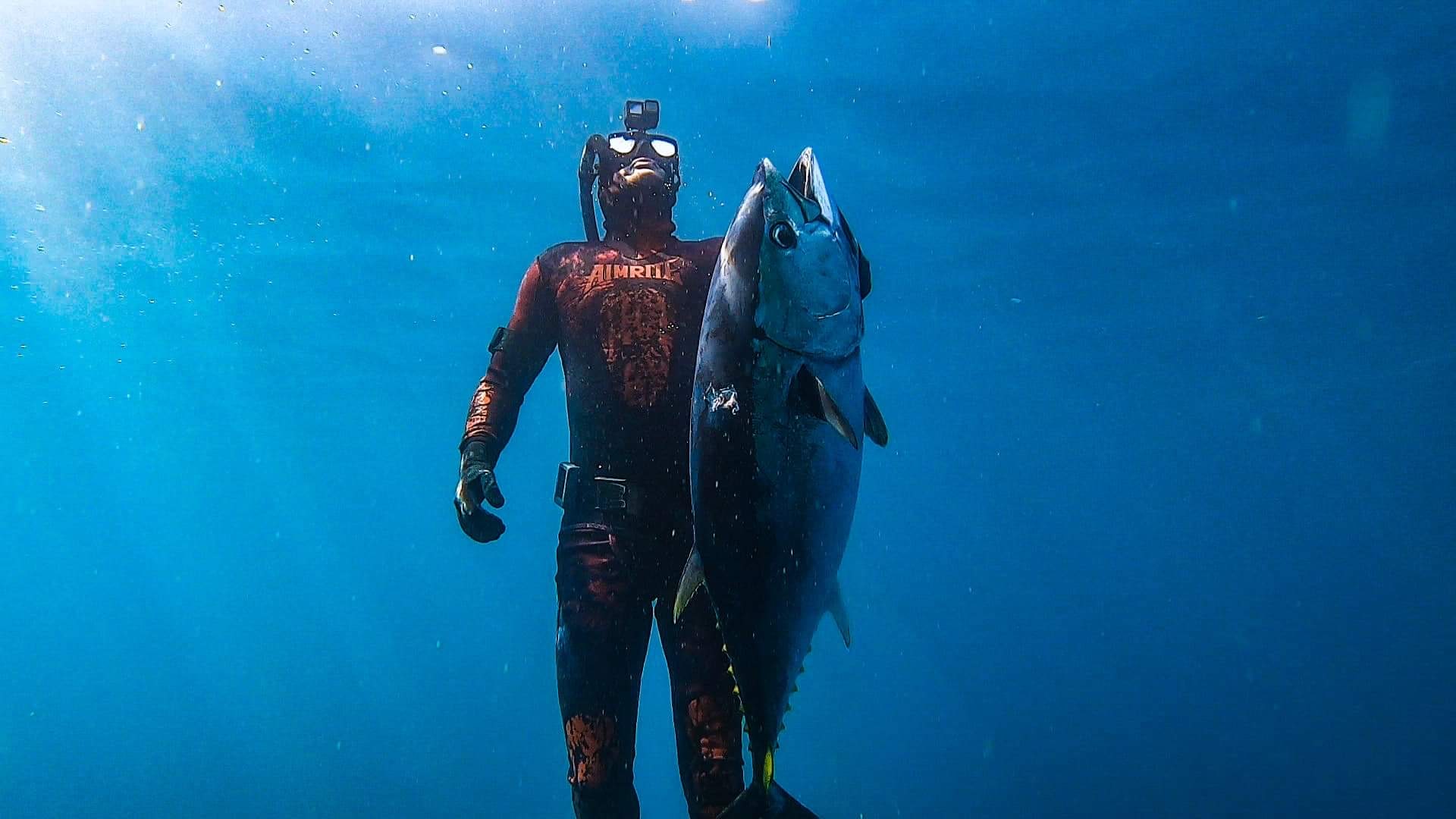 Spearfishing Wallpapers