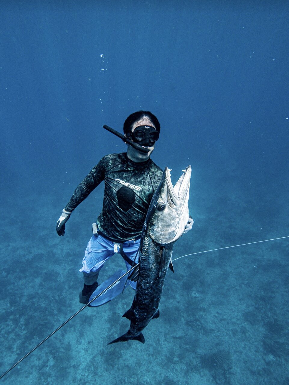 Spearfishing Wallpapers