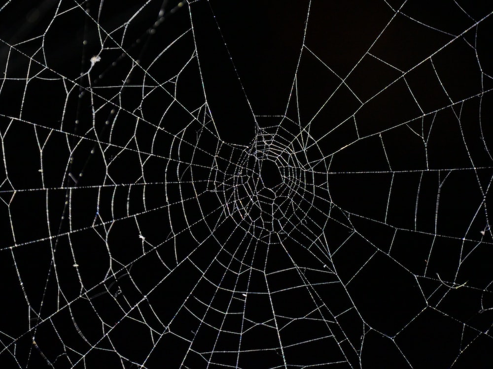 Spider Web Wallpapers