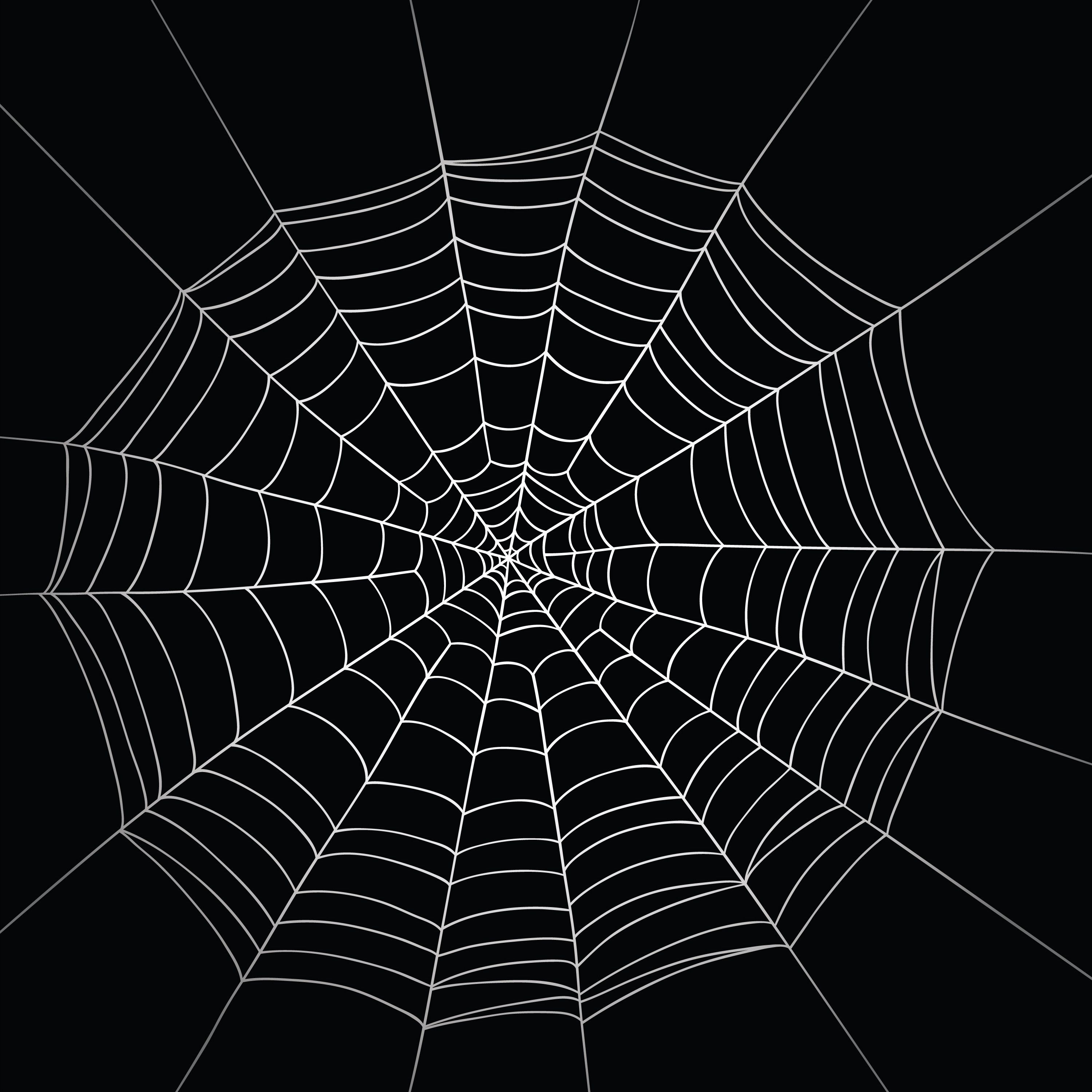 Spider Web Wallpapers