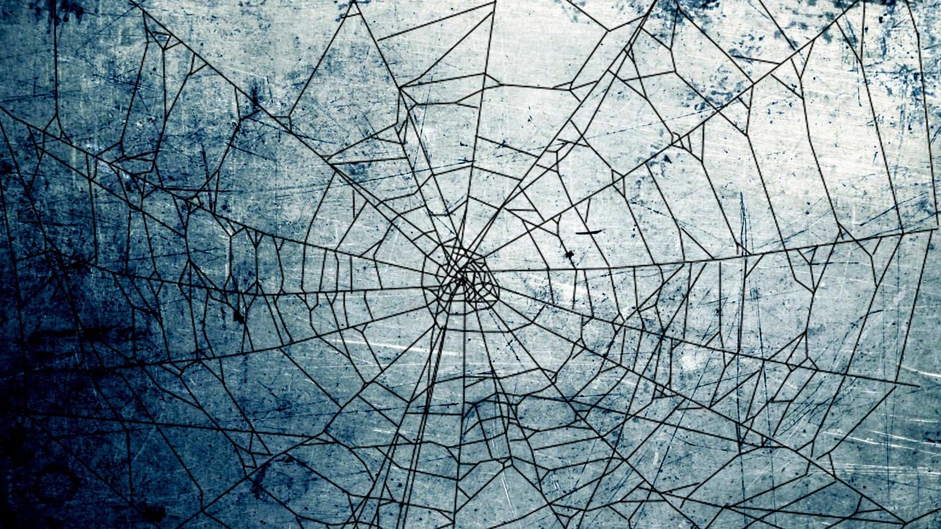 Spider Web Wallpapers