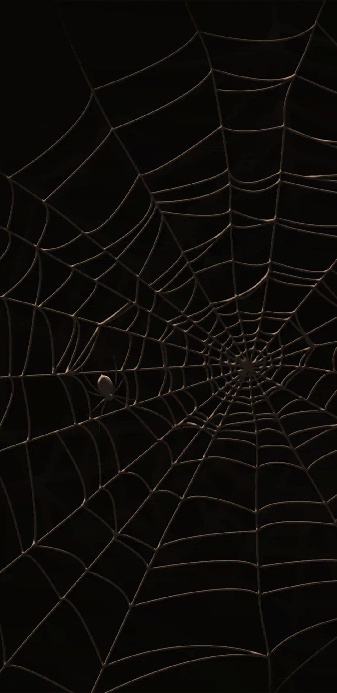 Spider Web Wallpapers