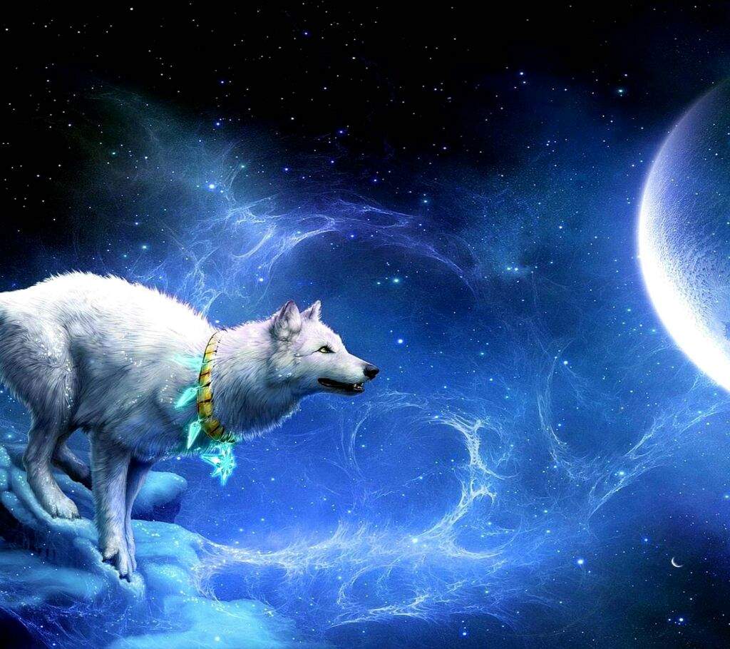 Spirit Beautiful Wolf Wallpapers