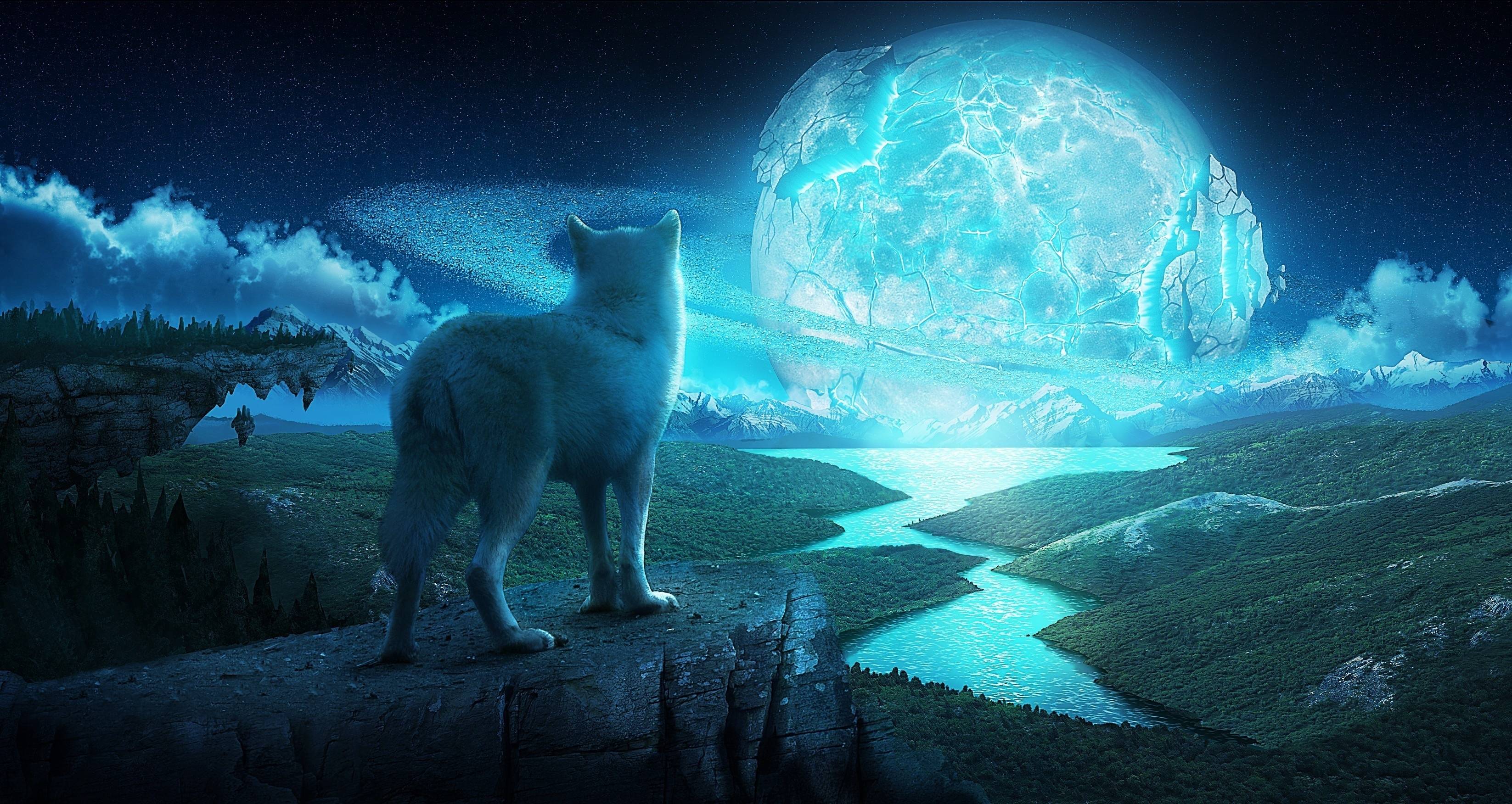 Spirit Beautiful Wolf Wallpapers