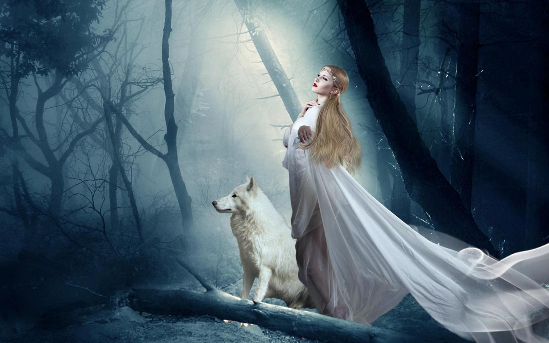 Spirit Beautiful Wolf Wallpapers