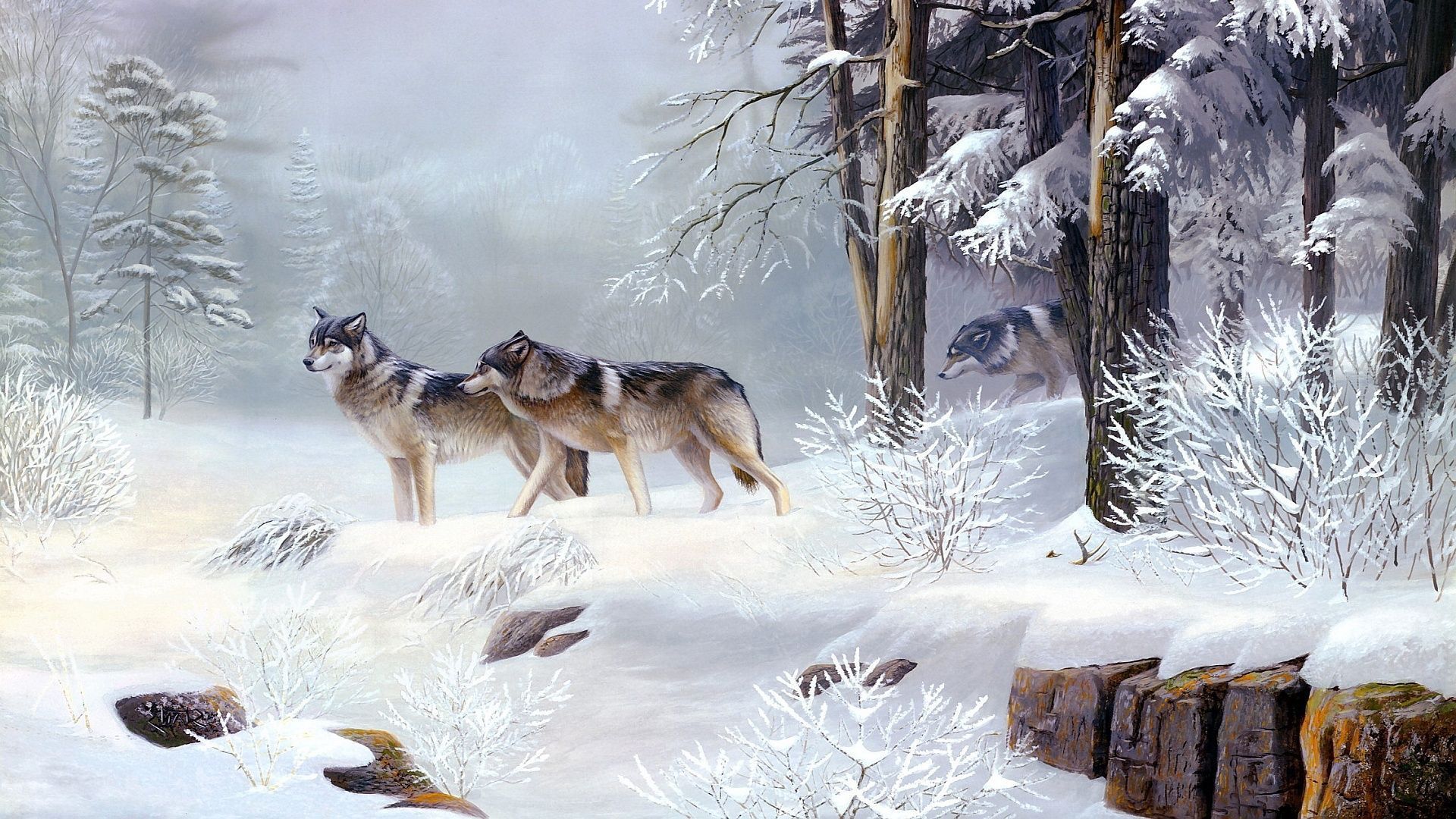 Spirit Ice Wolf Wallpapers