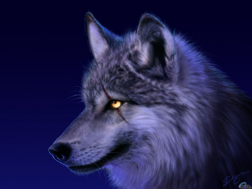 Spirit Pictures Of Wolves Wallpapers