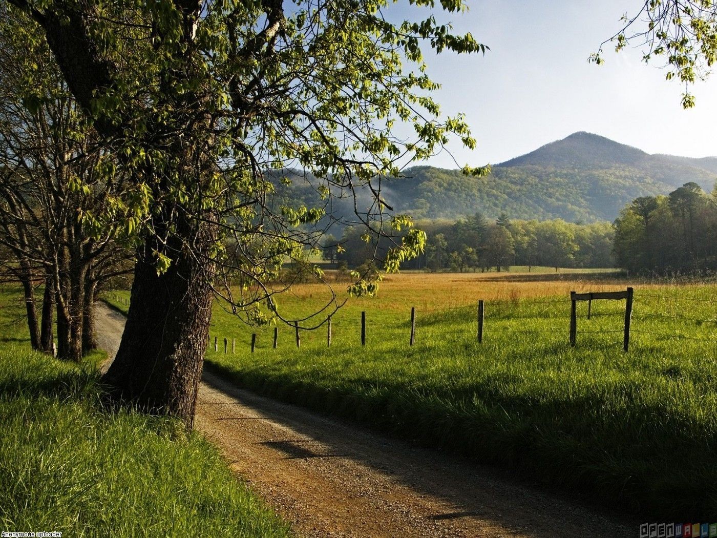 Spring Countryside Wallpapers