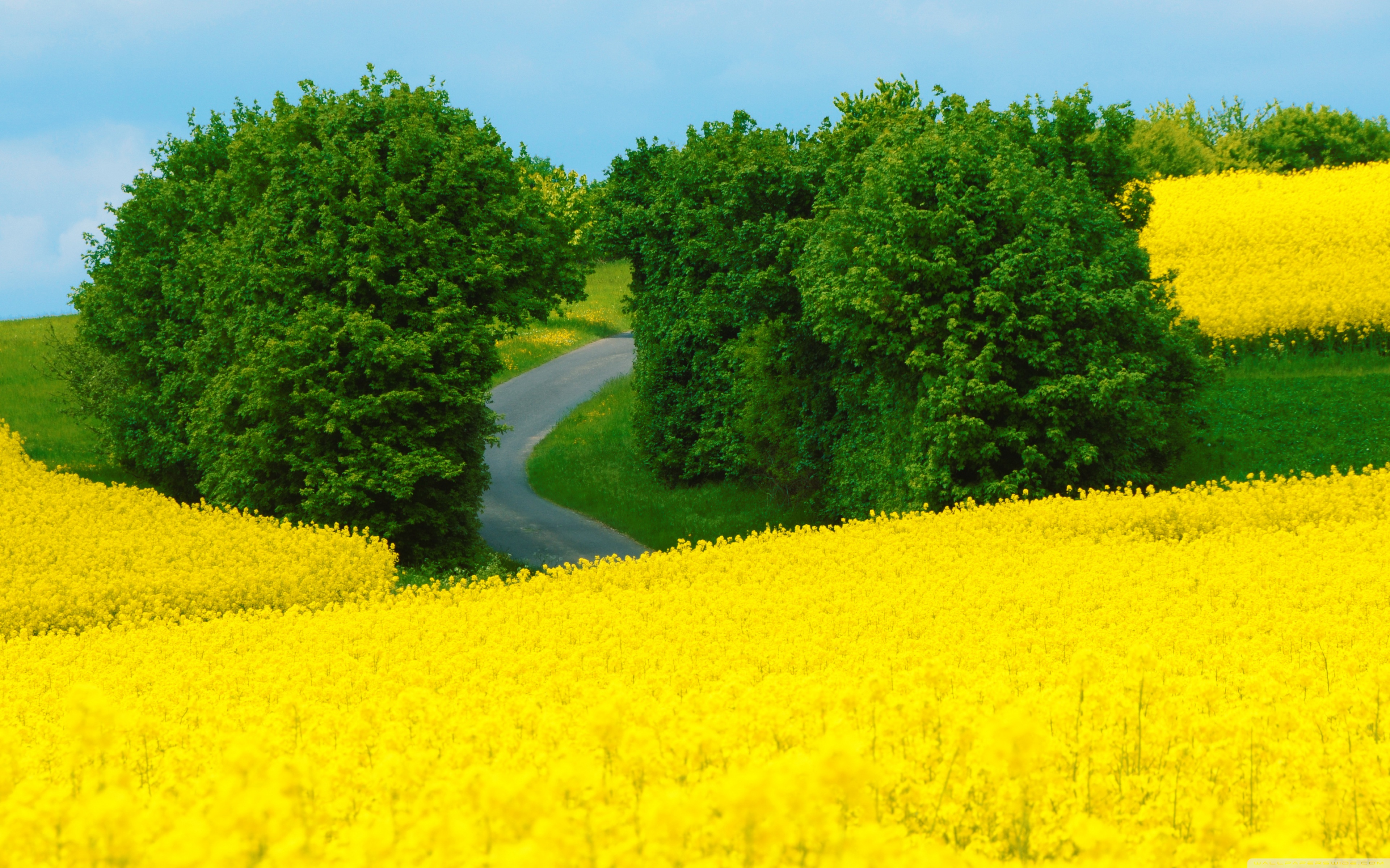 Spring Countryside Wallpapers