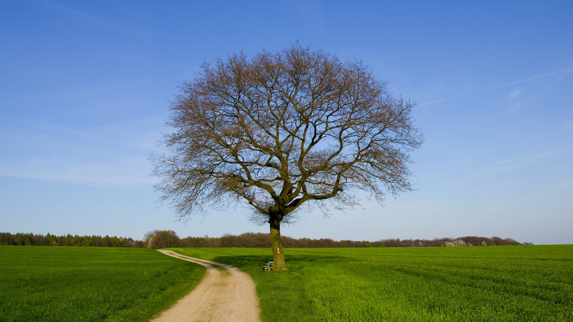 Spring Countryside Wallpapers