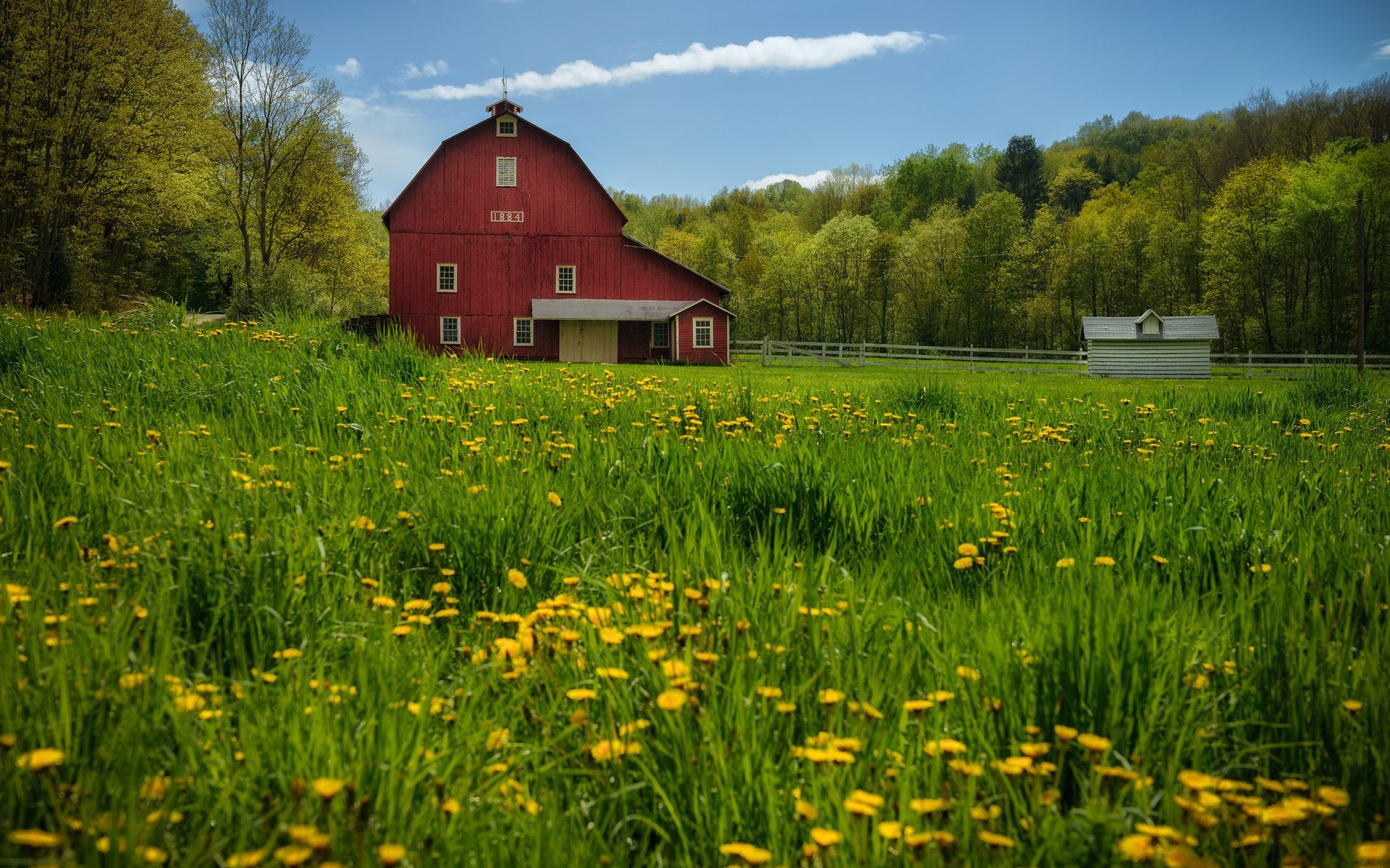 Spring Farm Wallpapers