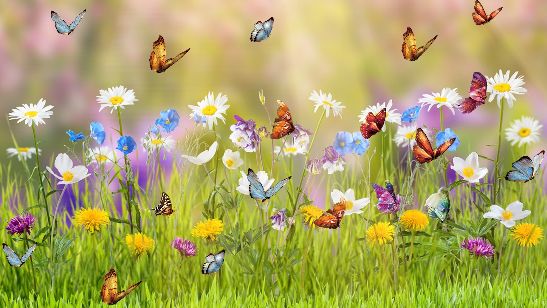 Spring Meadow Wallpapers