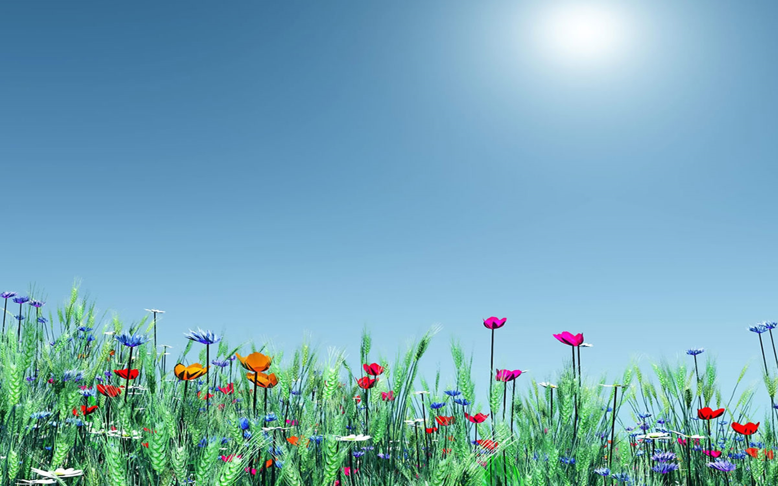 Spring Meadow Wallpapers