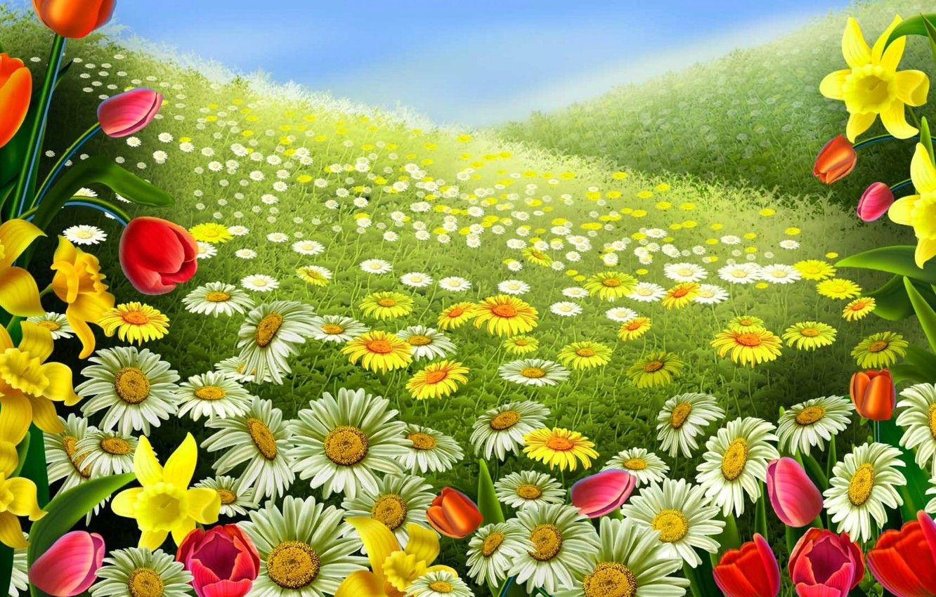 Spring Meadow Wallpapers