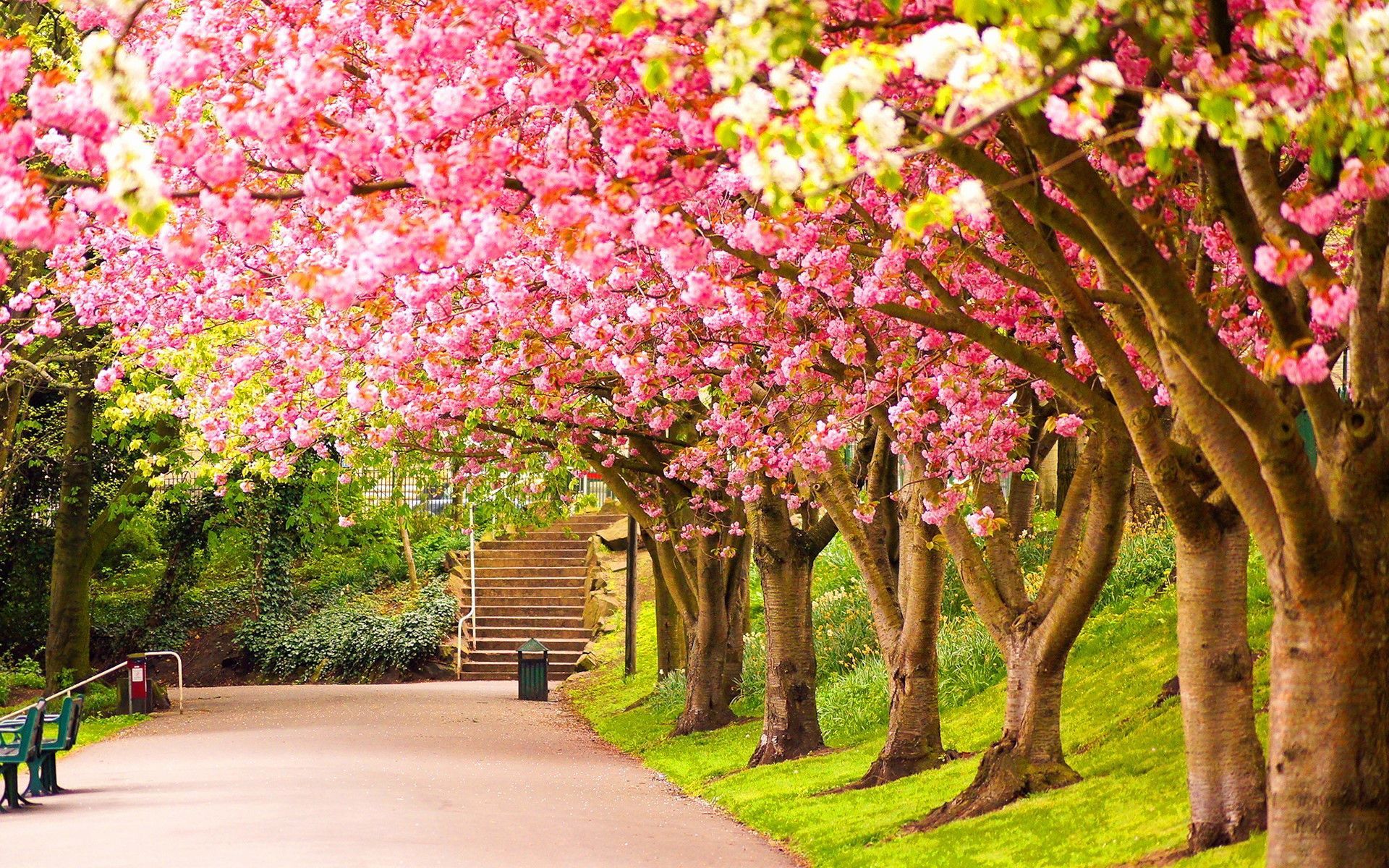 Spring Hd Wallpapers