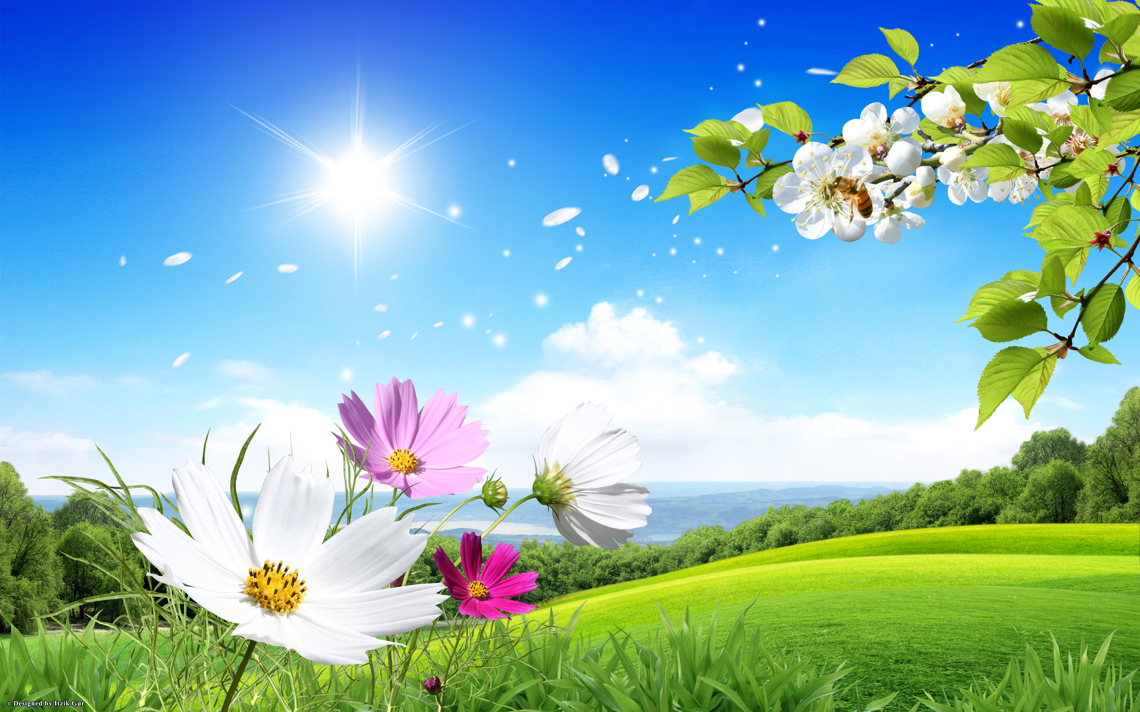 Spring Hd Wallpapers