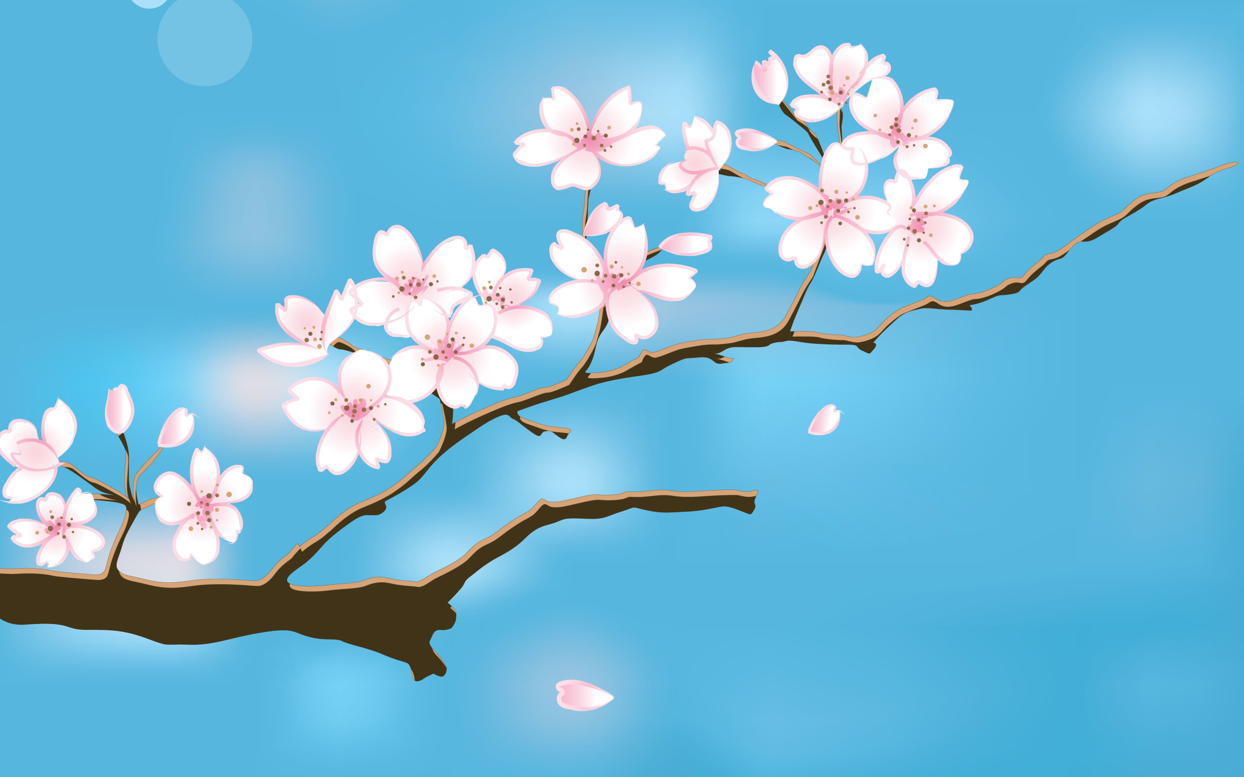 Spring Hd Wallpapers