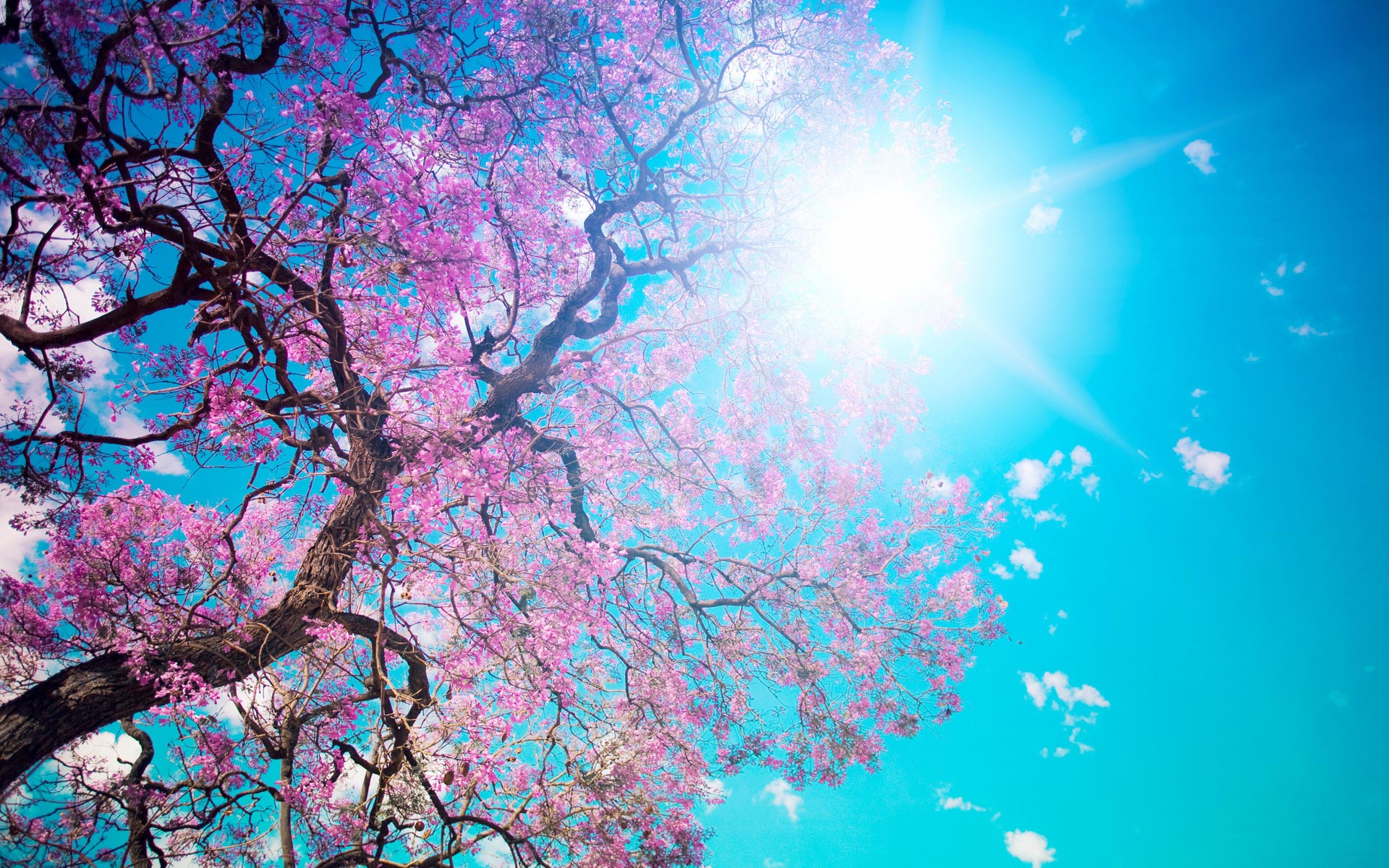 Spring Hd Wallpapers