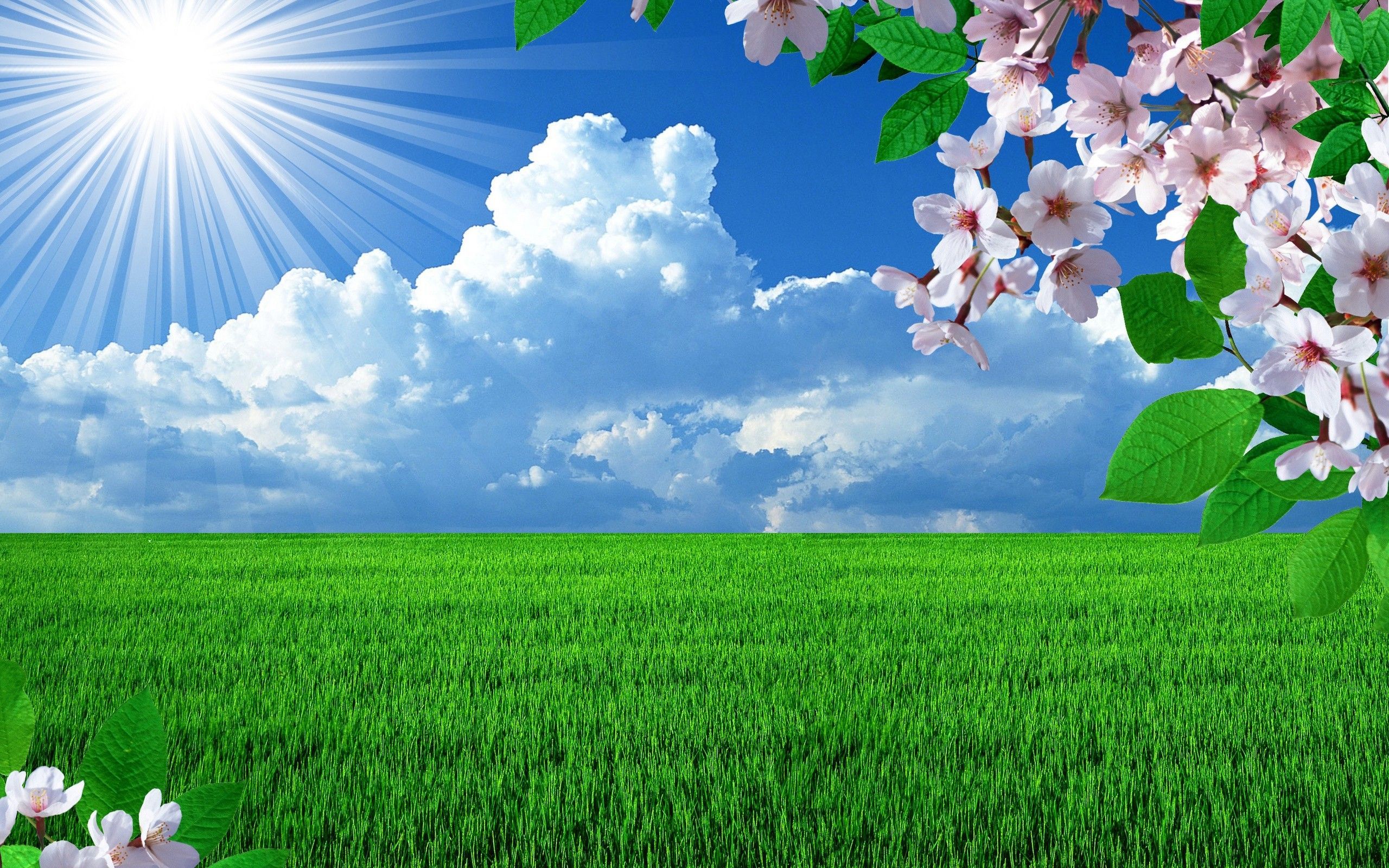 Spring Hd Wallpapers